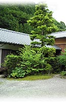 kouhaku_minoriya