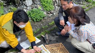 LINE_ALBUM_写真素材_250319_2-