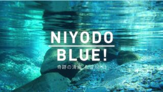 一般社団法人仁淀ブルー観光協議会